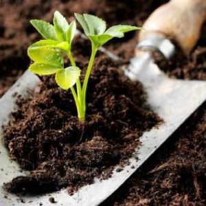 Implication environnementale